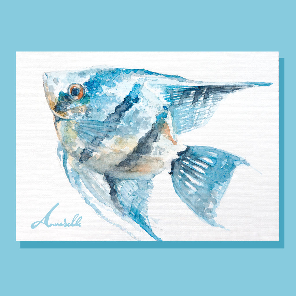 Blue Fish Postcard