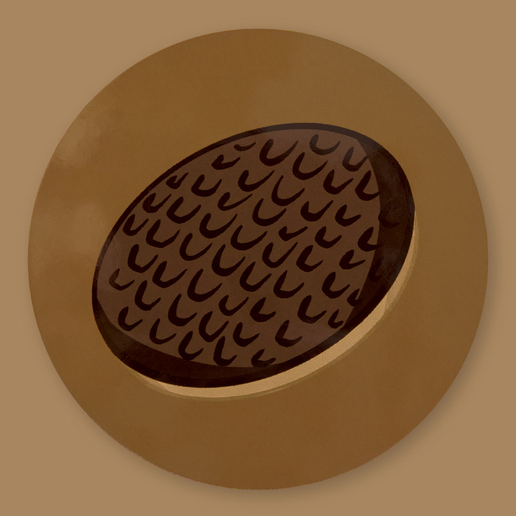 Chocolate Digestive Coaster