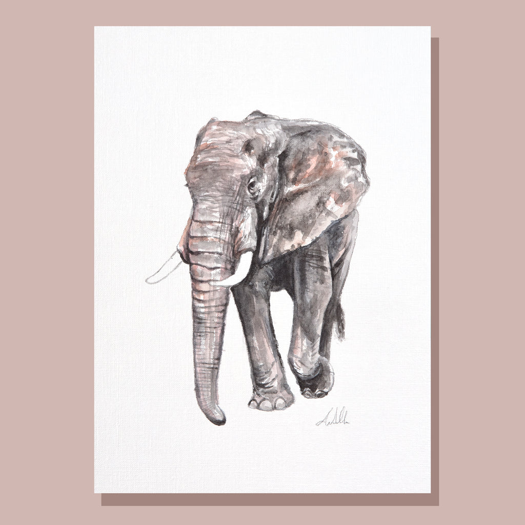 Elephant Postcard