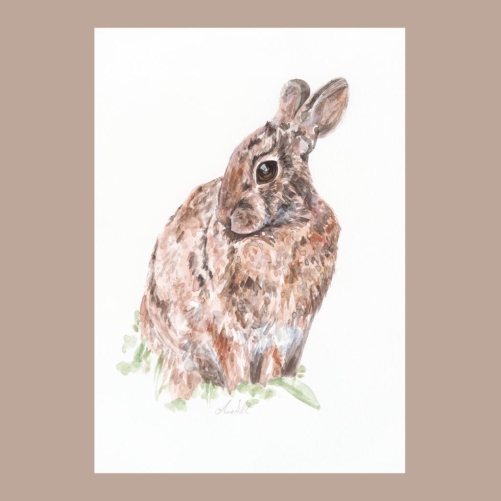 Hare - An Original Watercolour Painting