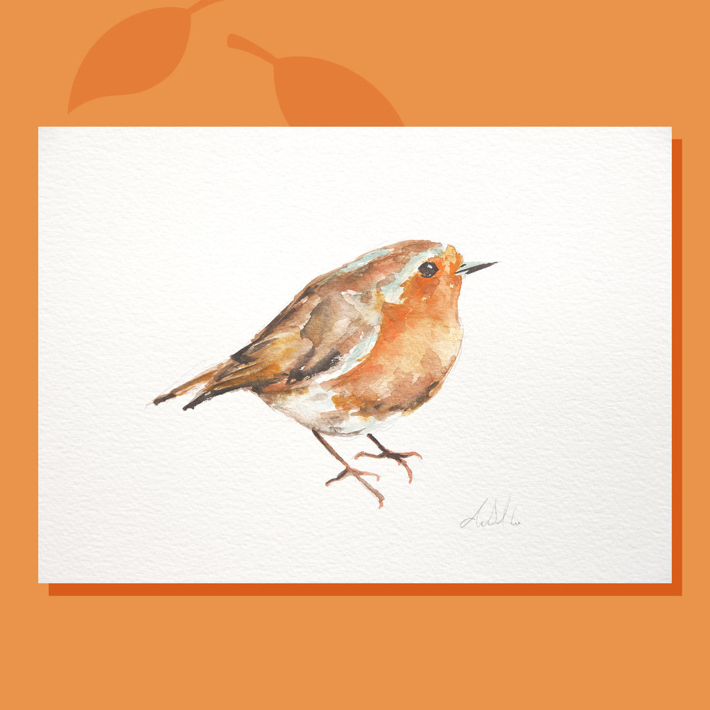 Robin Postcard